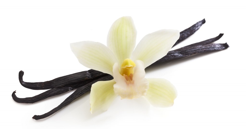 vanilla.jpg vanilla.jpg